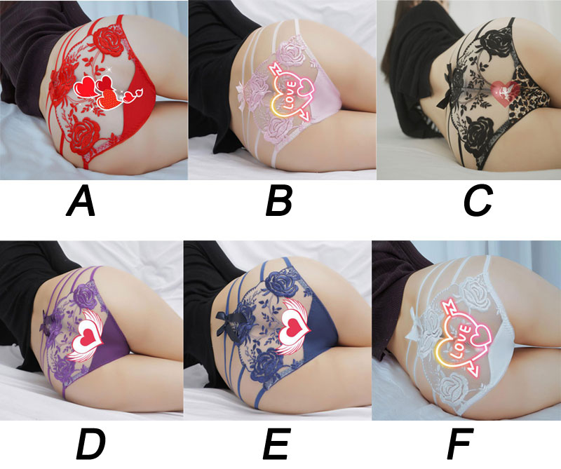 Sexy Sheer Bowknot Flower Embroidery Panties Women's Underwear Leopard Slutty Lingerie Erotic Thong Seamless Underpants Hipster Briefs
