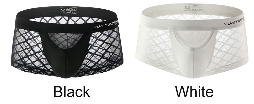 Sexy Fishnet Mesh Breathable Men's See Through Sissy Underwear Male Pants Lingerie Bikini Underwearpants Boxer Briefs